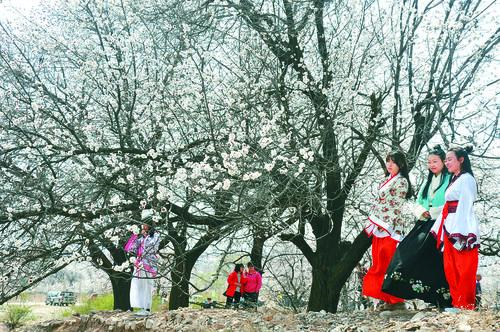美狮贵宾会线路检测 实时监控大屏示意图